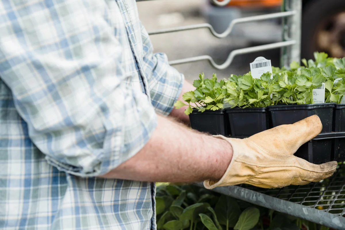 Annual Plant and Produce Sale