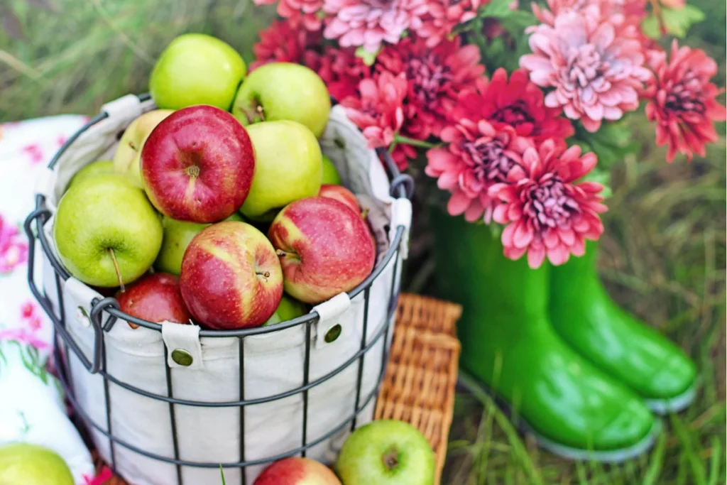 Flower and Produce Show