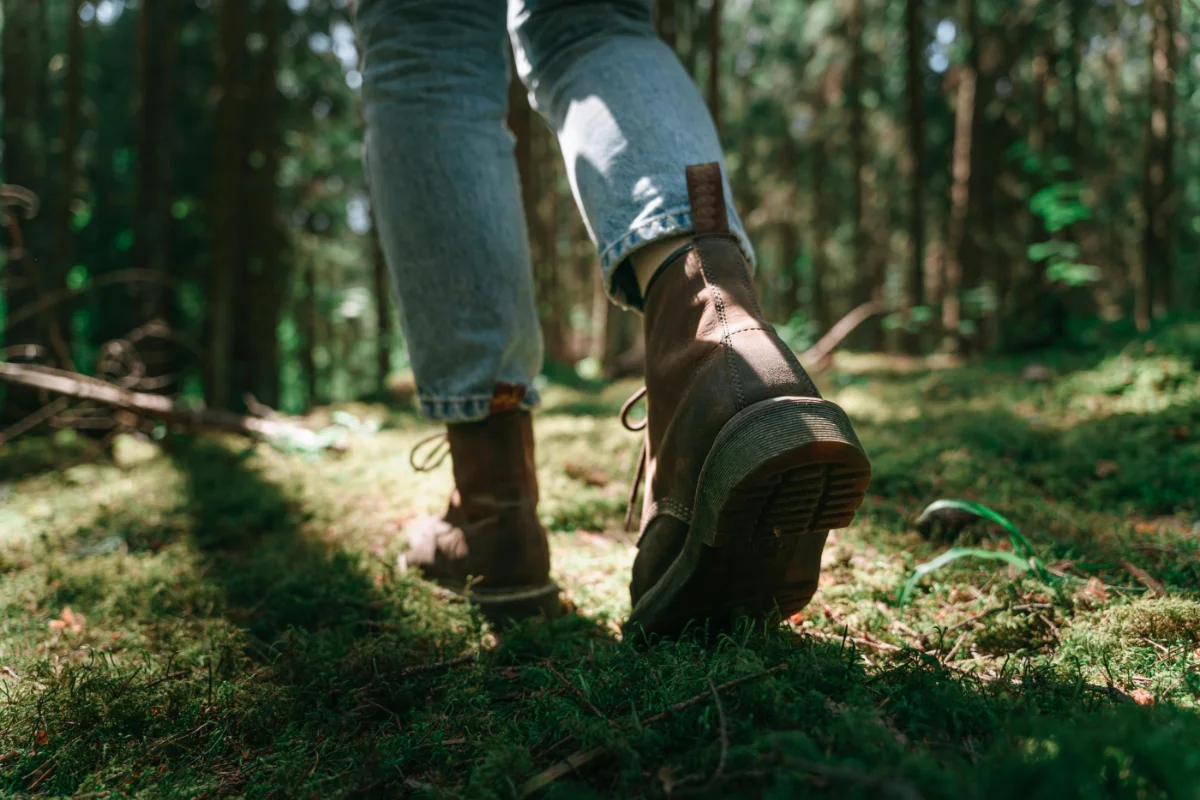 Walk in the Woods Walk